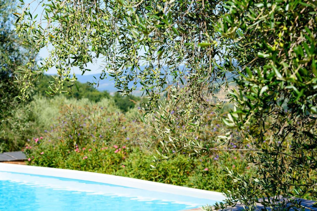 Agriturismo La Pieve Pelago Exterior foto